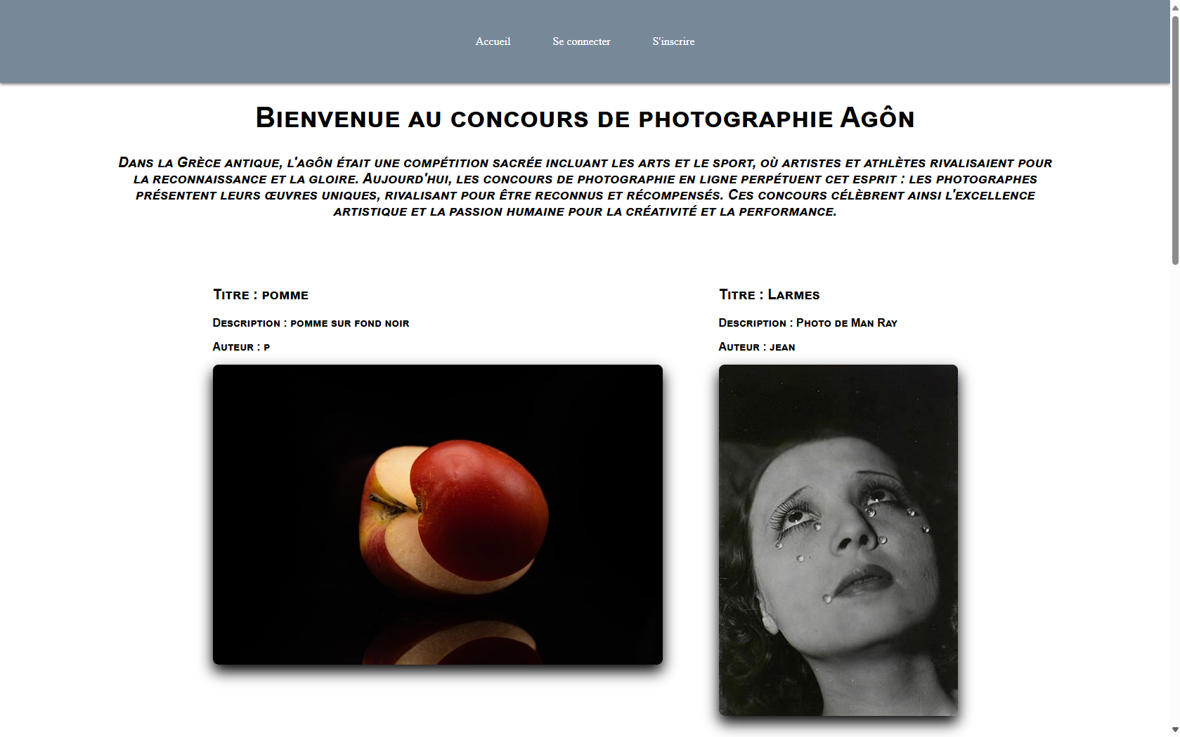 Site Web – Concours Photographie