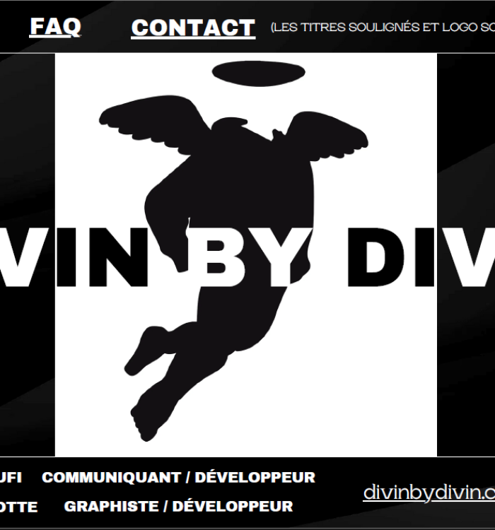 Audit de Communication Numérique – Divin By Divin